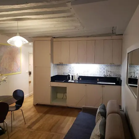 Appartement Louvre St Germain Rue Verneuil Paris